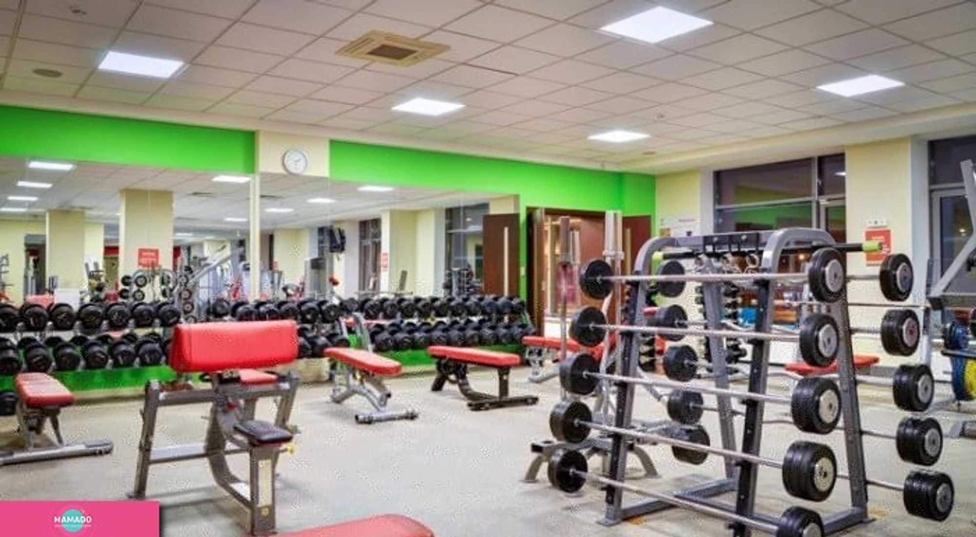 Alex Fitness, "Алекс Фитнес", спортивный клуб, фитнес для детей на Васильевском, СПб