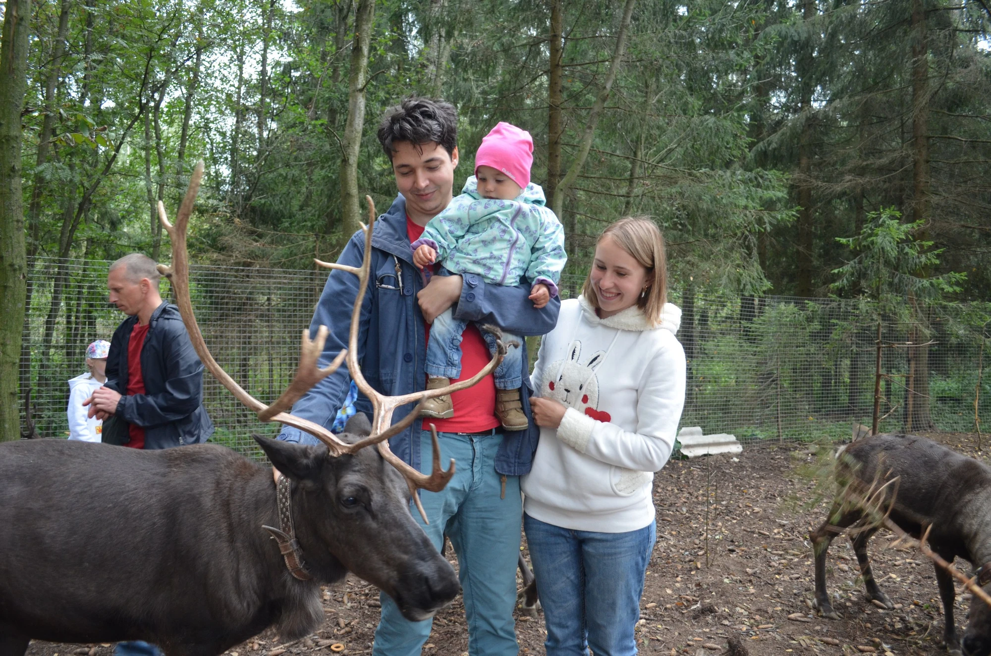 Организация корпоративных и групповых посещений в Ферме оленей
