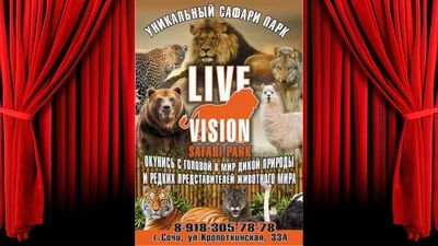 Сафари-парк Live Vision