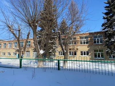 Елочка (Детский сад)