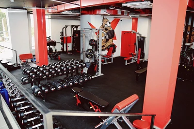 Volt (Спортивный, тренажёрный зал )