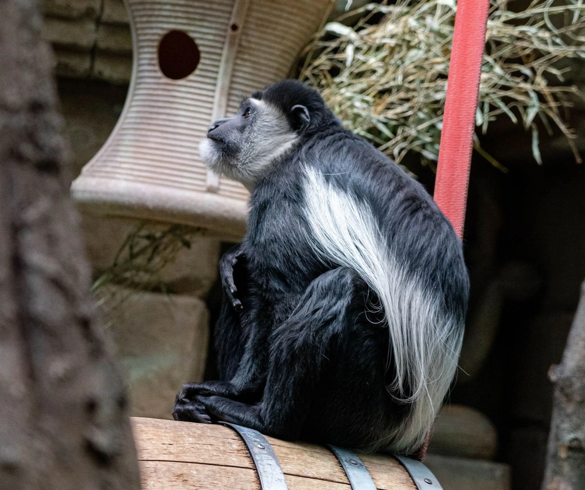 Оранжерея Московского зоопарка