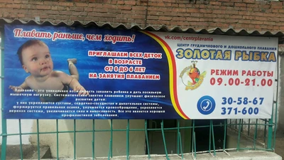 Золотая рыбка (Бассейн)