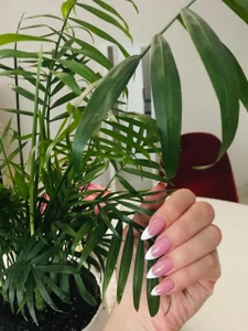 Anatomy (Косметология )