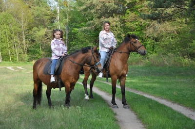 Конно-спортивный клуб Екатерининский (Конный клуб)