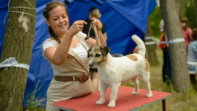 Хендлер Анна Кондрашина (Питомник животных )