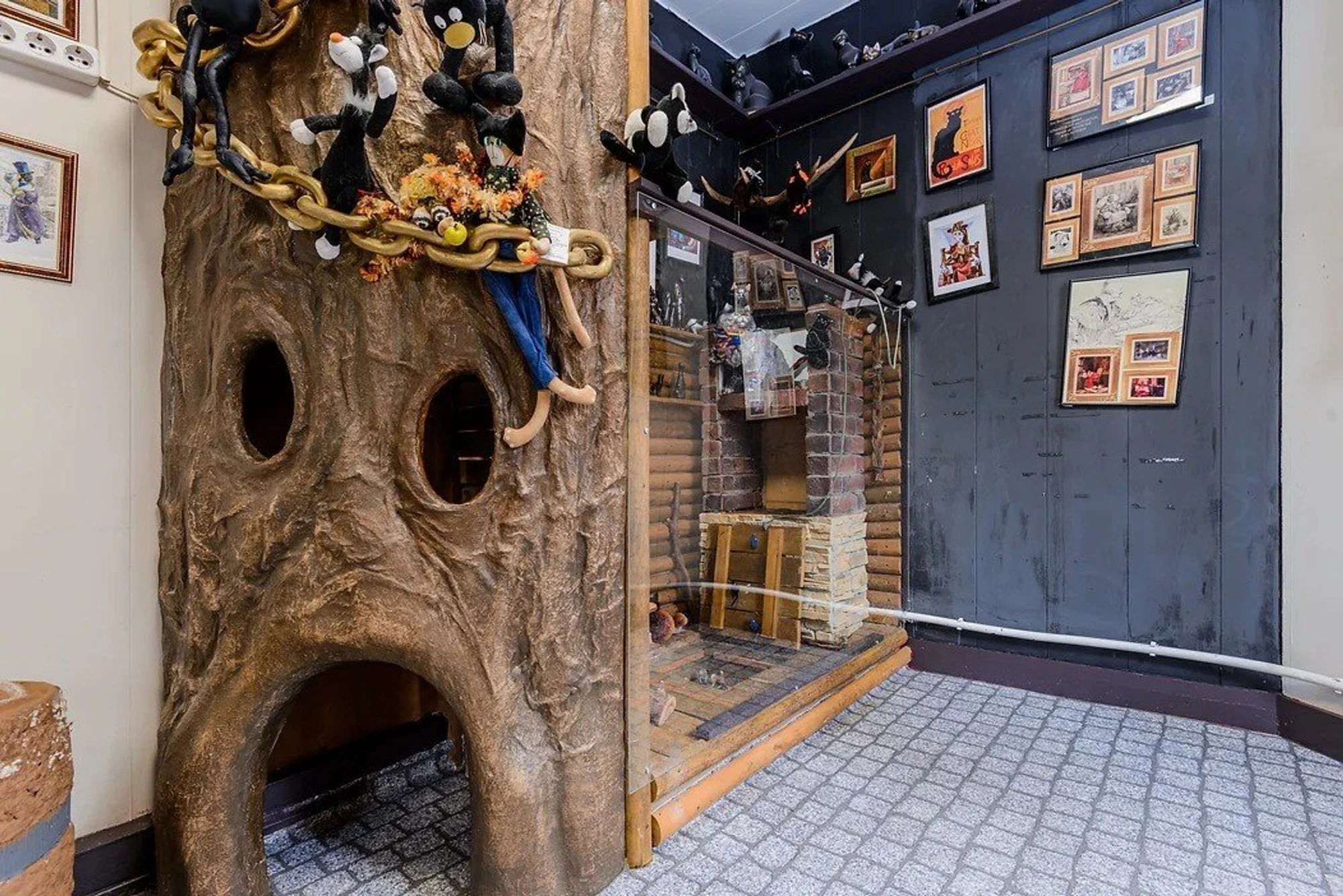 Фото:&nbsp;catmuseum.ru