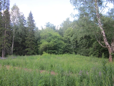 Буз УР РДС Юськи (Санаторий)