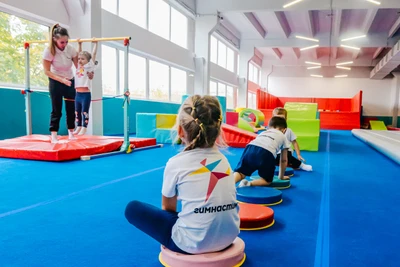 Гимнастик (Спортивный клуб, секция )