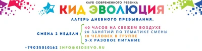 Кид Эволюция (Компьютерные курсы )