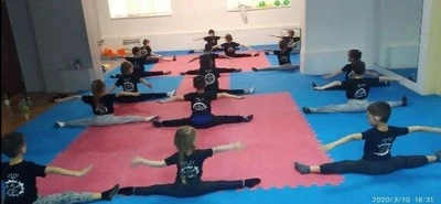 Лотос (Спортивный клуб, секция)