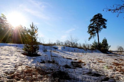 Солнечный (Санаторий)