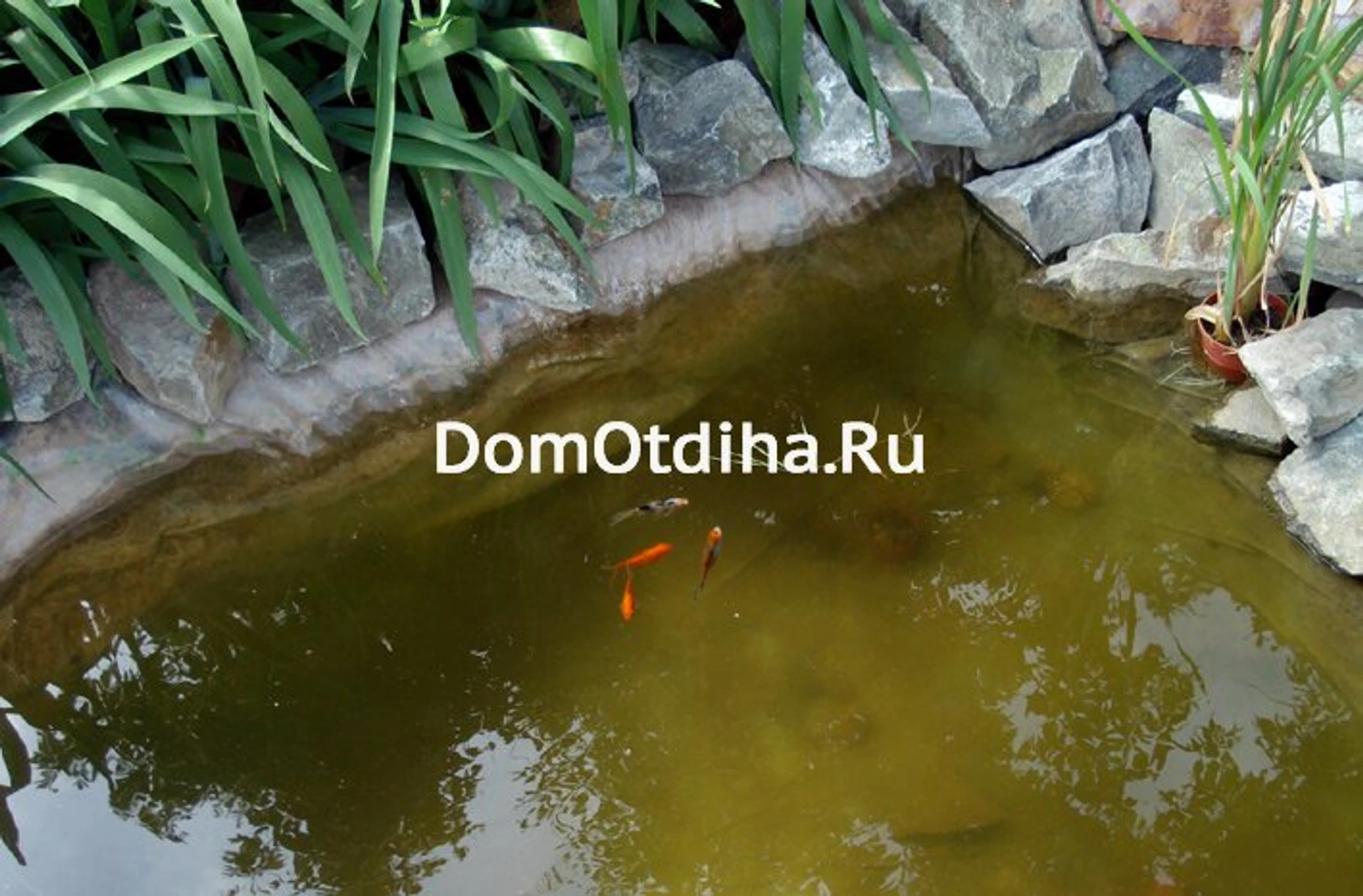 База отдыха Южный берег, офис продаж (Дом отдыха)