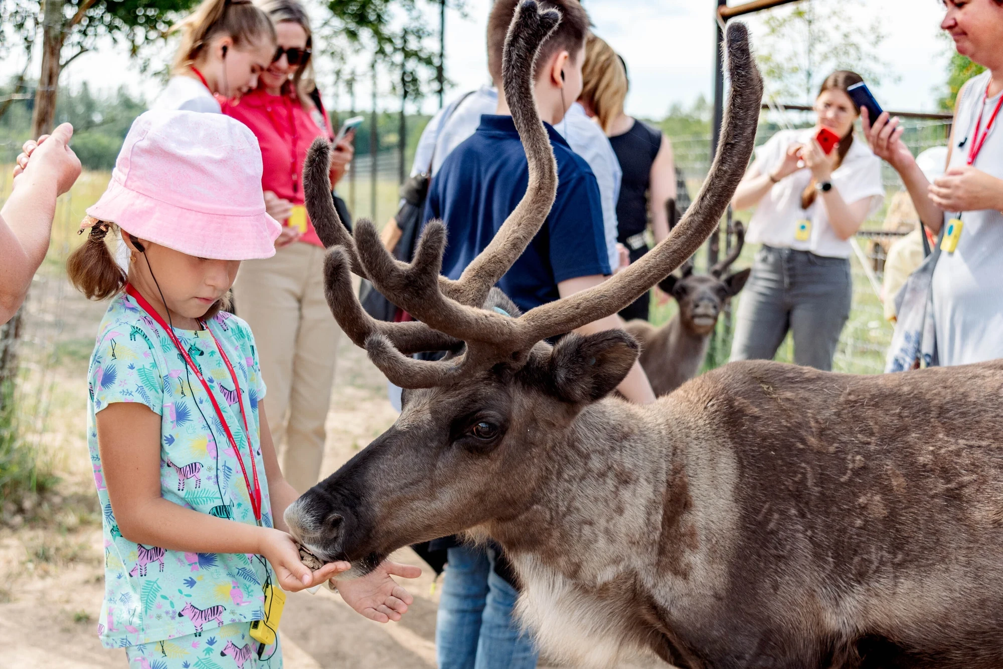 Фото: safaripark50.ru