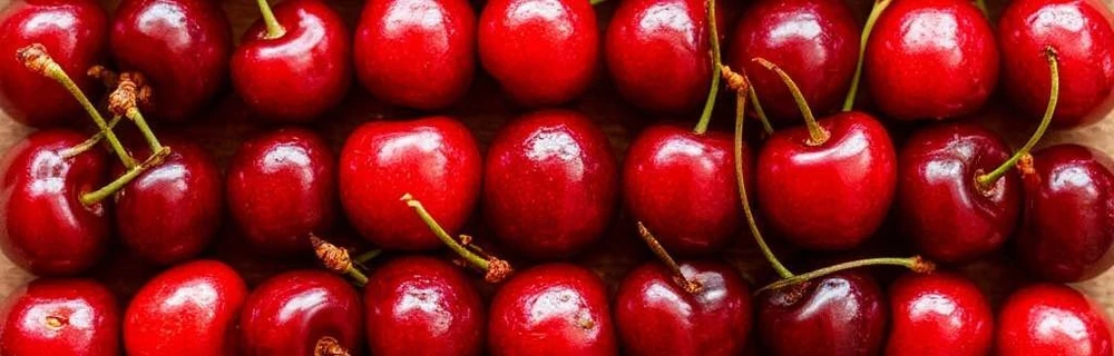 Стильный принт этого лета – Cherry Coded