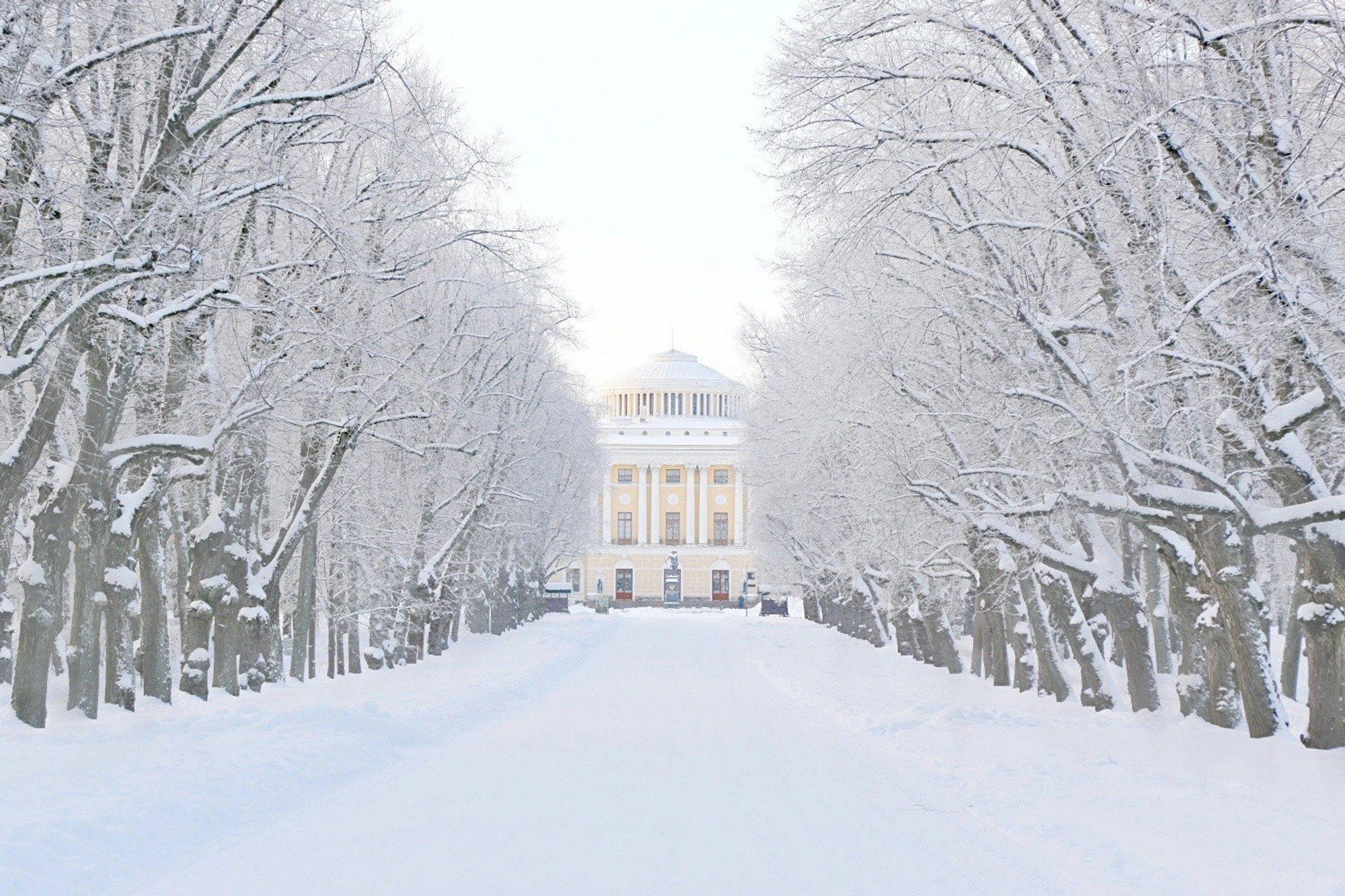 Фото:&nbsp;vk.com/pavlovskpalaceandpark