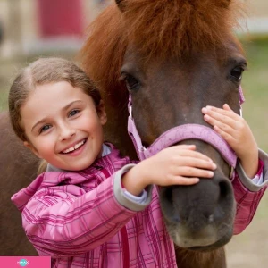 Пони-клуб на территории гостиничного комплекса "Дубай", Республика Татарстан