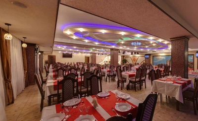 Тюльпан (Кафе)