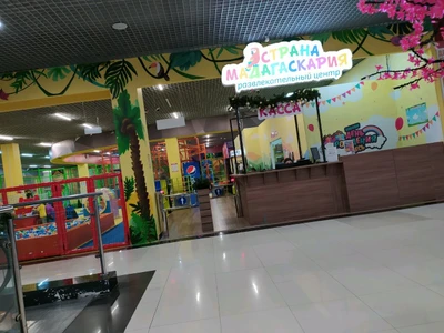 Страна Мадагаскария (Детские игровые залы и площадки)
