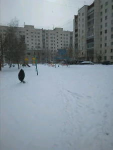 Детская игровая площадка (Детские игровые залы и площадки)