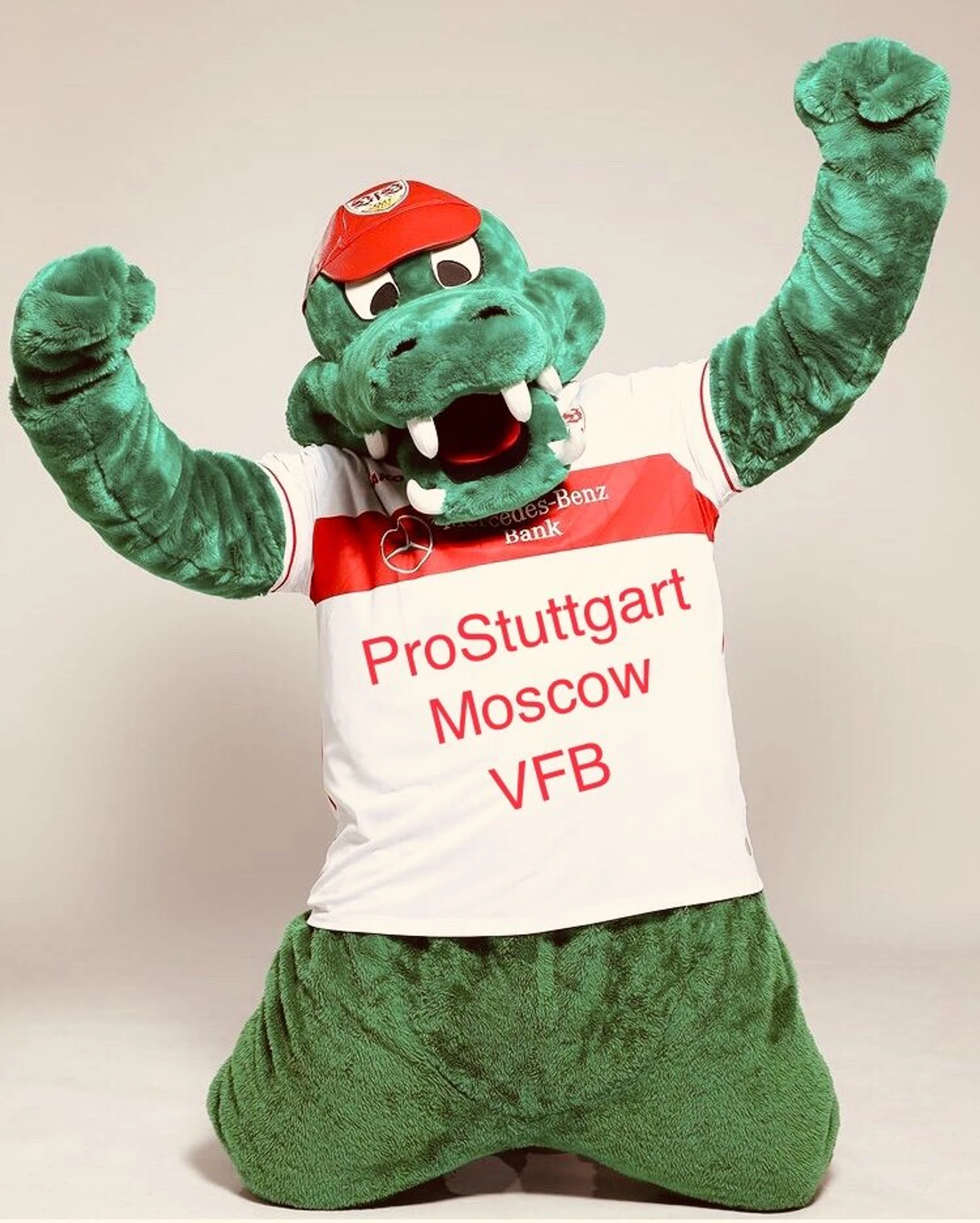 ФК Проштутгарт (Спортивная школа )