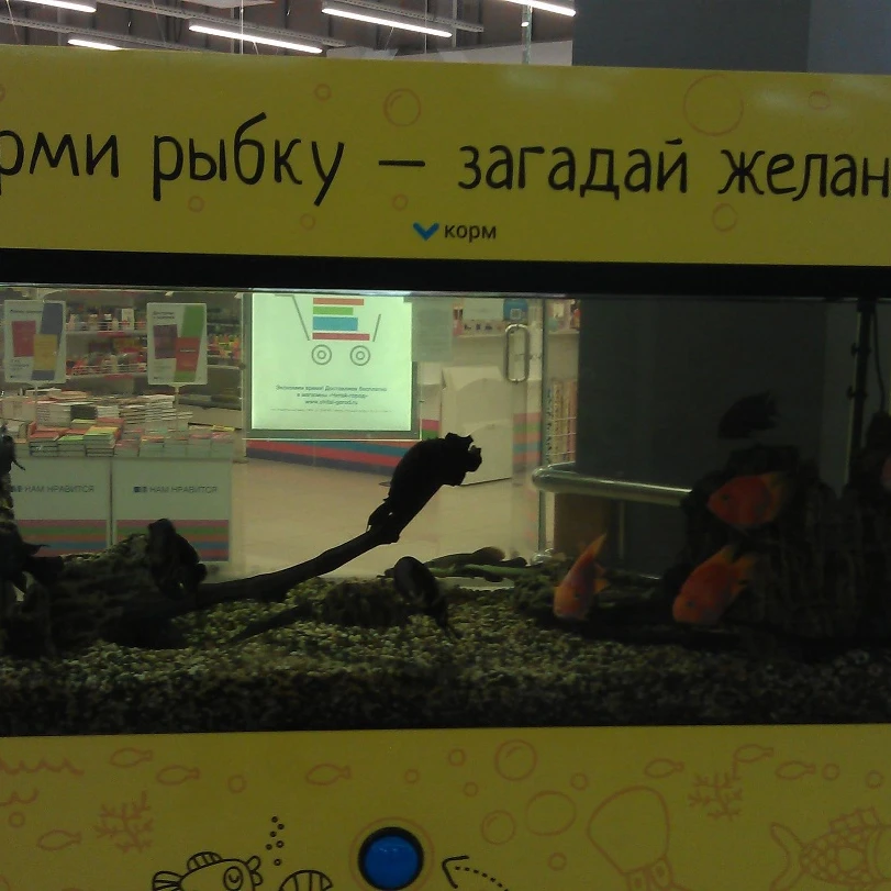 Море желаний, аттракцион