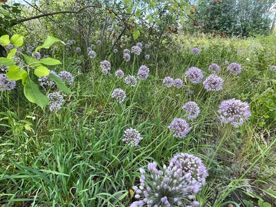 Степные зори (Дом отдыха)