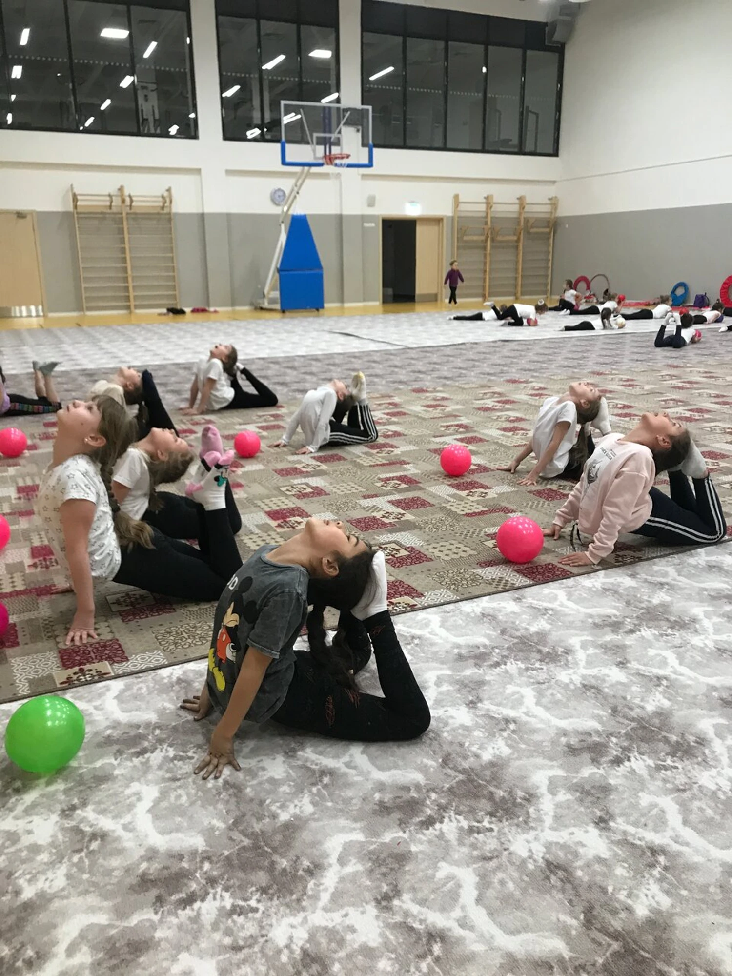 Силуэт (Спортивная школа )