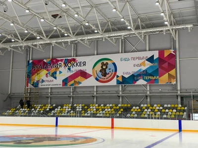 Академия хоккея (Спортивная школа )