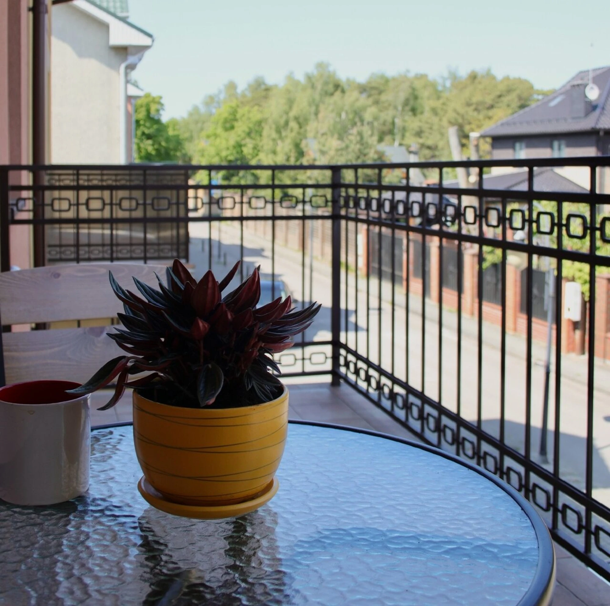 Гостевой дом Куршский (Гостиница)