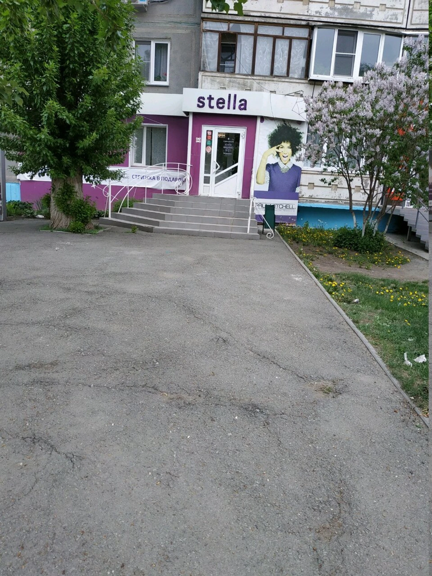 Стелла (Салон красоты )