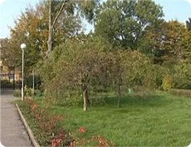 Ботанический сад БФУ имени Иммануила Канта (Парк культуры и отдыха)