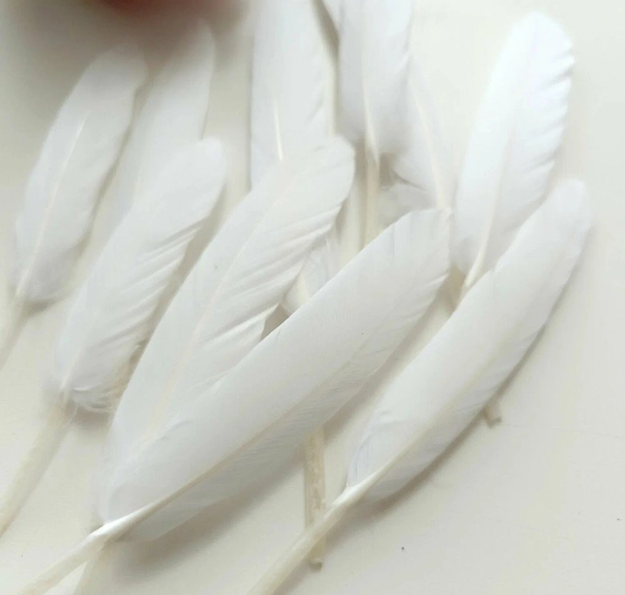 Фото посетителей