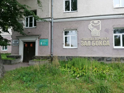 Золотая перчатка (Спортивная школа)