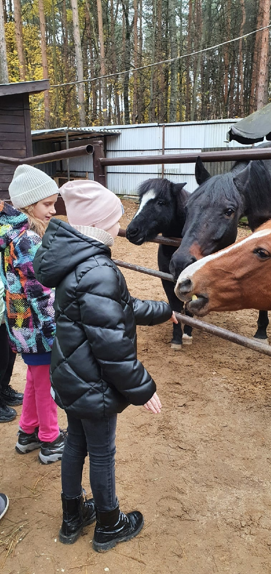 Изображение галлереи