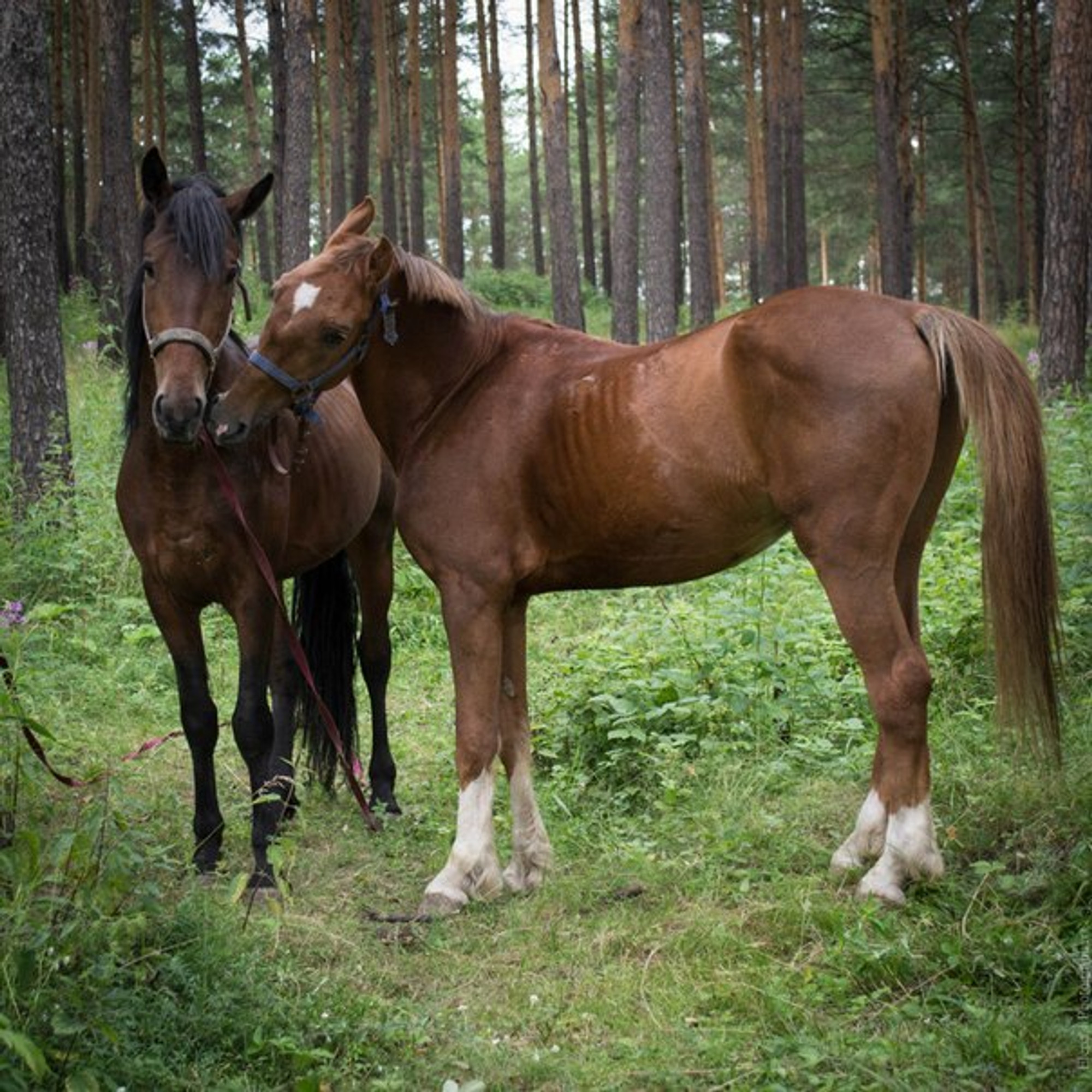 Изображение галлереи