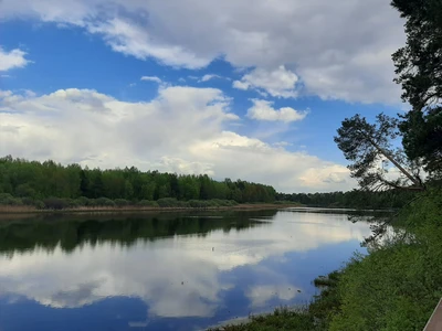 Гилёвская роща 18 (Парк культуры и отдыха )