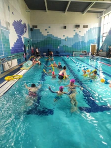 Детский бассейн Маргаритка (Бассейн )