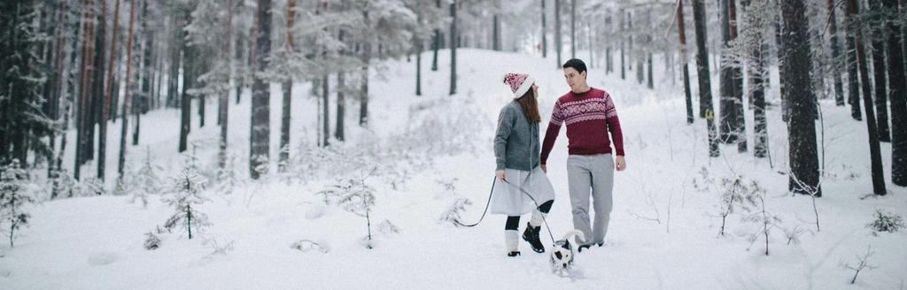 Турбазы Ленинградской области для отдыха с детьми на новогодние праздники