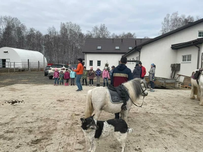 Пони ферма Пинто-бриз (Конный клуб )