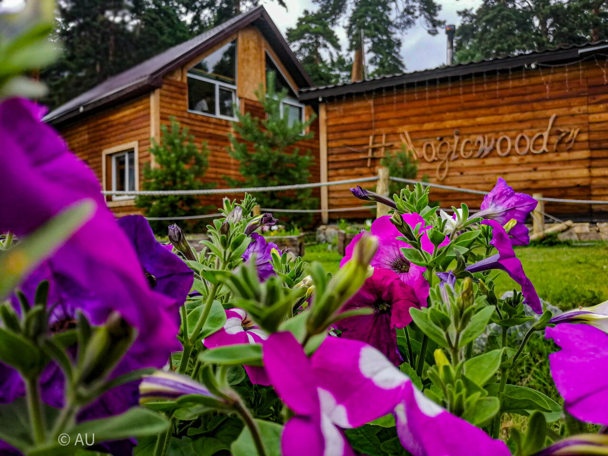 Magic Wood (Турбаза)