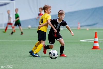 Freedom (Спортивный клуб, секция )