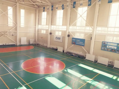 СОК Приютовский (Спортивный комплекс)