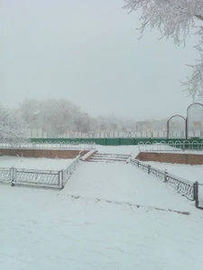 Спорткомплекс (Спортивный комплекс)