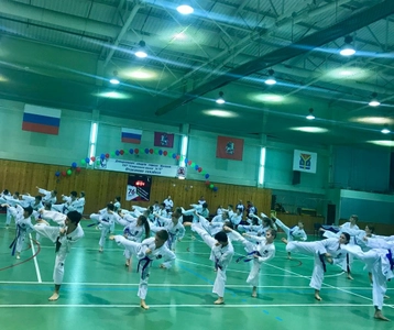 Таеквон-До (Спортивный клуб, секция)