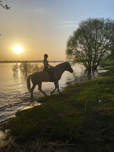 Частная школа верховой езды Парково (Конный клуб)