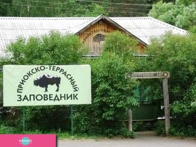 Приокско-Террасный биосферный заповедник, зубровый питомник в пос. Данки