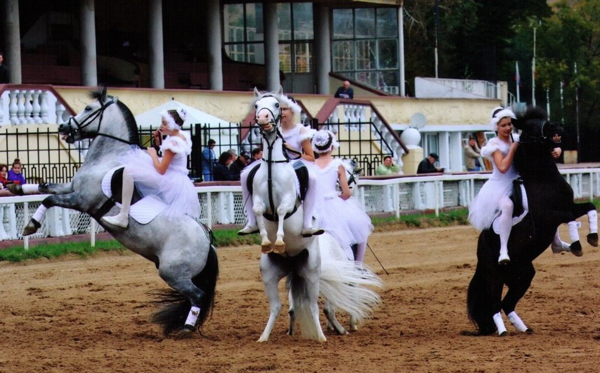 Конный клуб "Ника" в Сокольниках