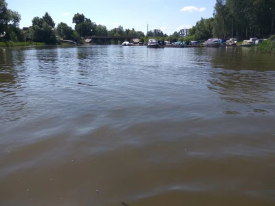 Пляж (Пляж)