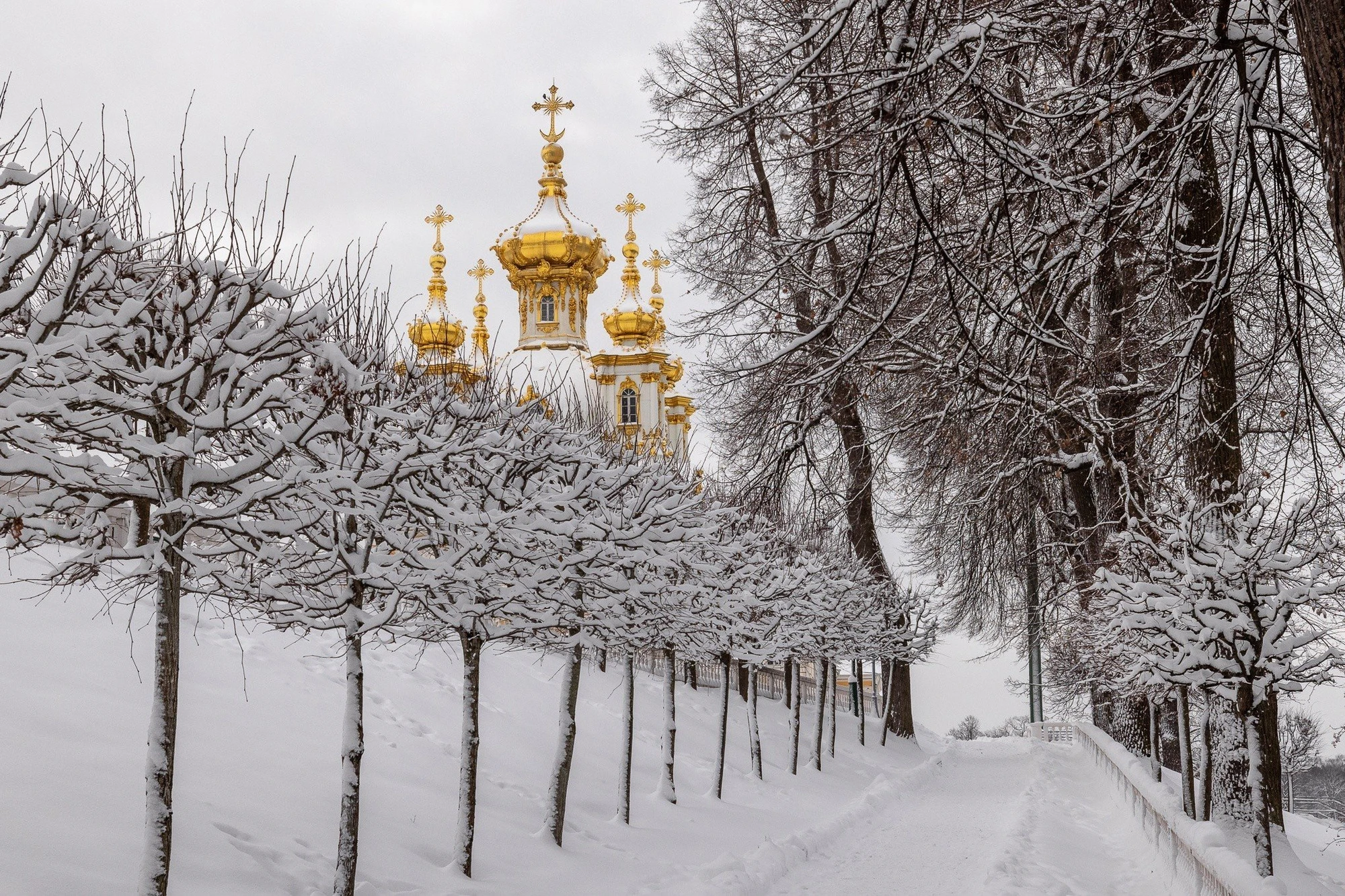 Фото:&nbsp;vk.com/peterhof_museum